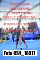 CS4_16517-
