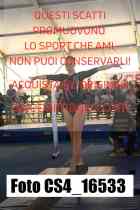 CS4_16533-