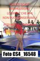 CS4_16548-