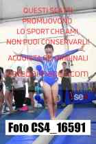 CS4_16591-