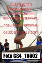 CS4_16602-