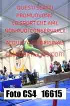 CS4_16615-