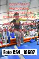 CS4_16687-
