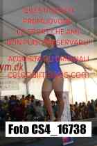 CS4_16738-