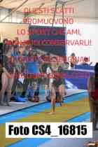 CS4_16815-