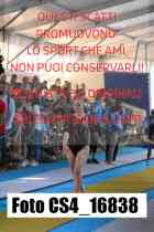 CS4_16838-