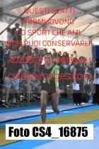 CS4_16875-