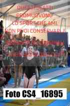 CS4_16895-