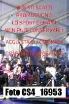 CS4_16953-