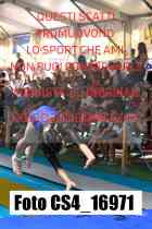 CS4_16971-