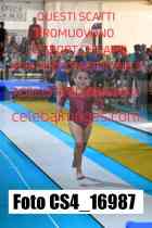 CS4_16987-