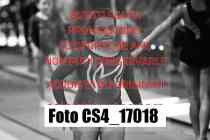 CS4_17018-