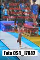 CS4_17042-