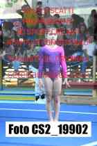 CS2_19902-