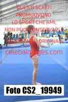 CS2_19949-
