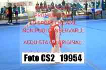 CS2_19954-