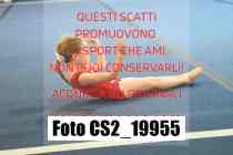CS2_19955-