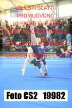 CS2_19982-