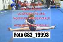 CS2_19993-