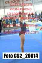 CS2_20014-