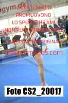 CS2_20017-