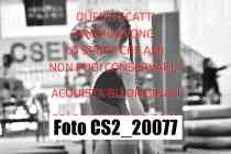 CS2_20077-