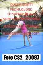 CS2_20087-