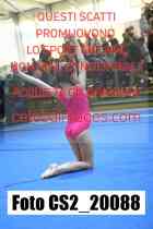 CS2_20088-