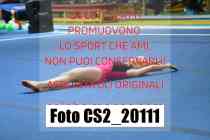CS2_20111-