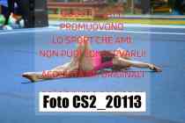 CS2_20113-