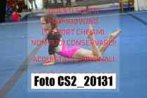 CS2_20131-