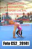 CS2_20141-