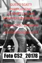 CS2_20178-