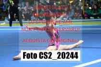 CS2_20244-