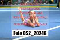CS2_20246-