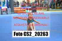 CS2_20263-