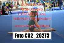 CS2_20273-