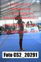CS2_20291-
