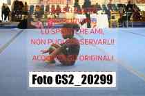 CS2_20299-