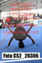 CS2_20306-