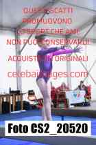 CS2_20520-