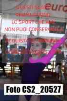 CS2_20527-