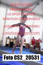CS2_20531-