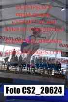 CS2_20624-