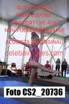 CS2_20736-