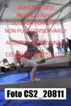 CS2_20811-
