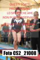 CS2_21008-