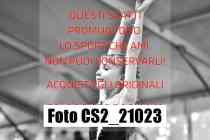 CS2_21023-