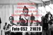 CS2_21028-