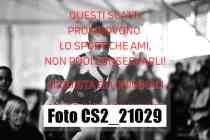CS2_21029-